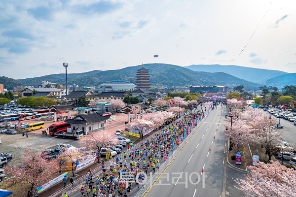 경주 벚꽃 마라톤대회