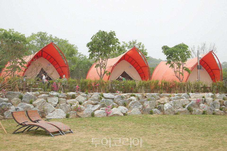 왕송호수 캠핑장