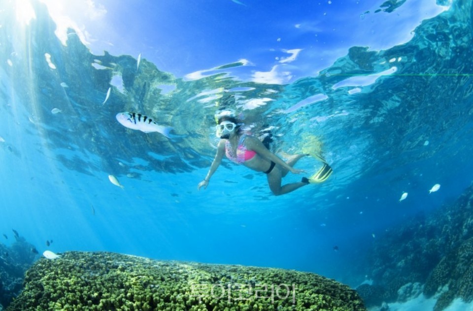스노쿨링으로 마라아나 바다속 탐험을 즐길 수 있다.