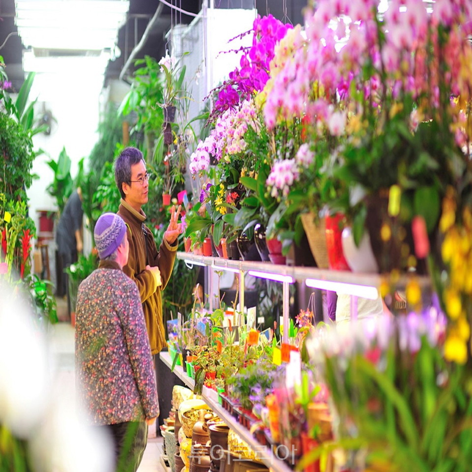 몽콕 꽃 시장