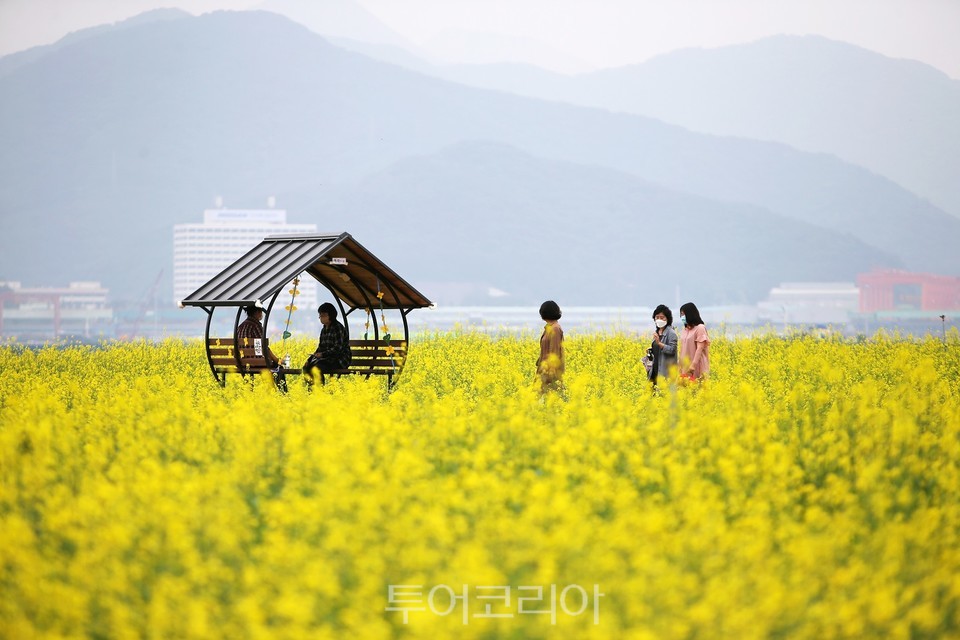 마산해양신도시 '바다위 꽃동산'