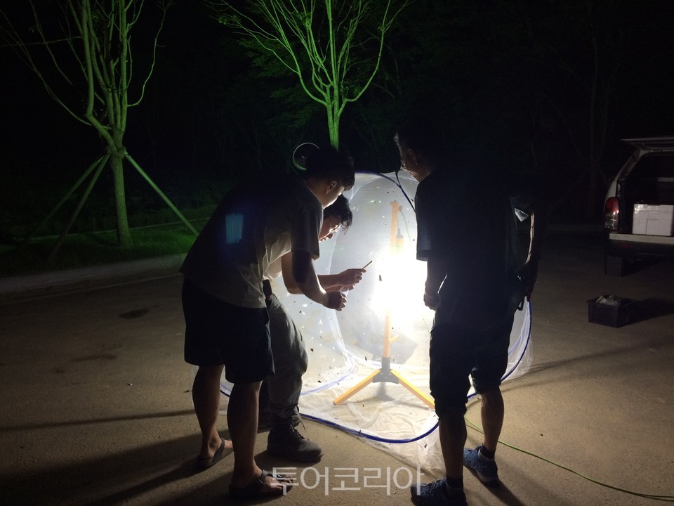 야간에 곤충을 관찰하는 '달빛곤충탐구생활' 참가자 모습