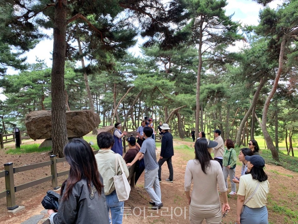 고인돌 유적지에서 역사 해설을 듣고 있는 팸투어 참가자들