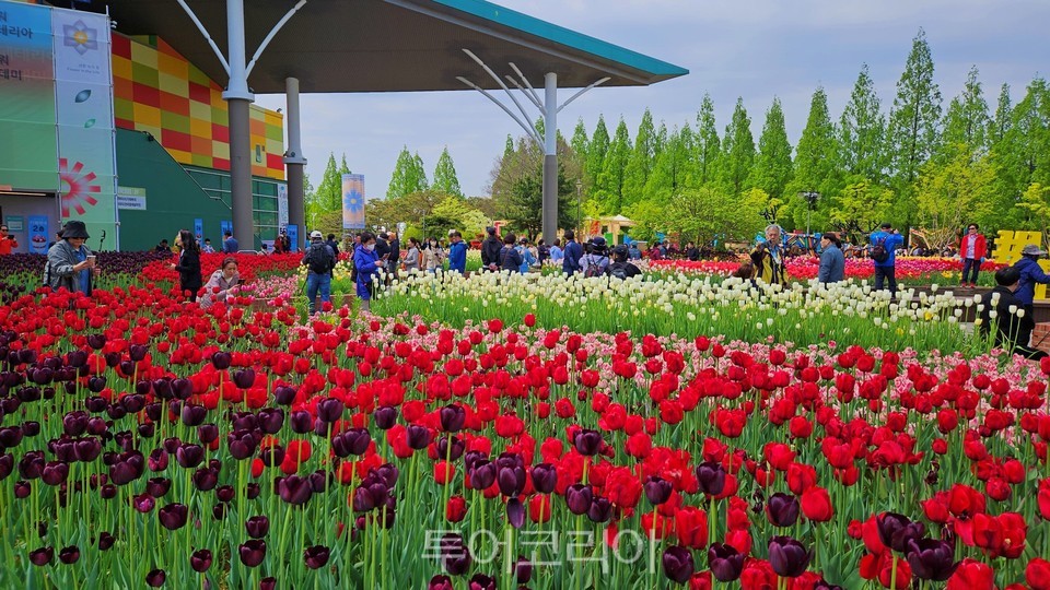 관람객들이 다양한 꽃 관람을 만끽하고 있다. 고양국제꽃박람회는 5월 8일까지 이어진다.