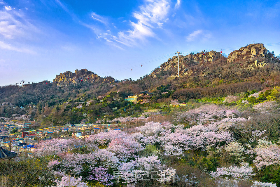 목포 유달산과 해상케이블카 풍경이 있는 봄 / 사진-목포시청