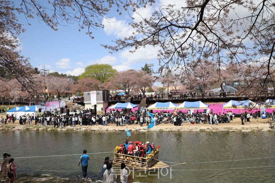 금산천 봄꽃축제/사진-금산군