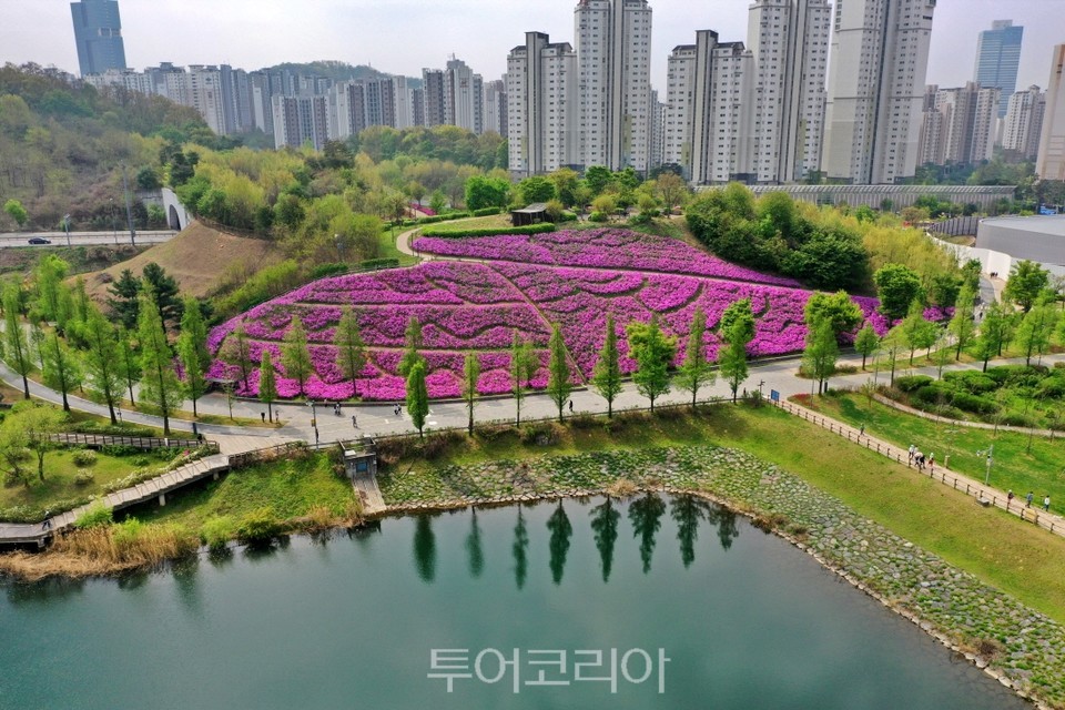 광교호수공원 신대호수 철쭉동산 / 사진-수원시